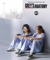 Grey's Anatomy season 10 /   10 